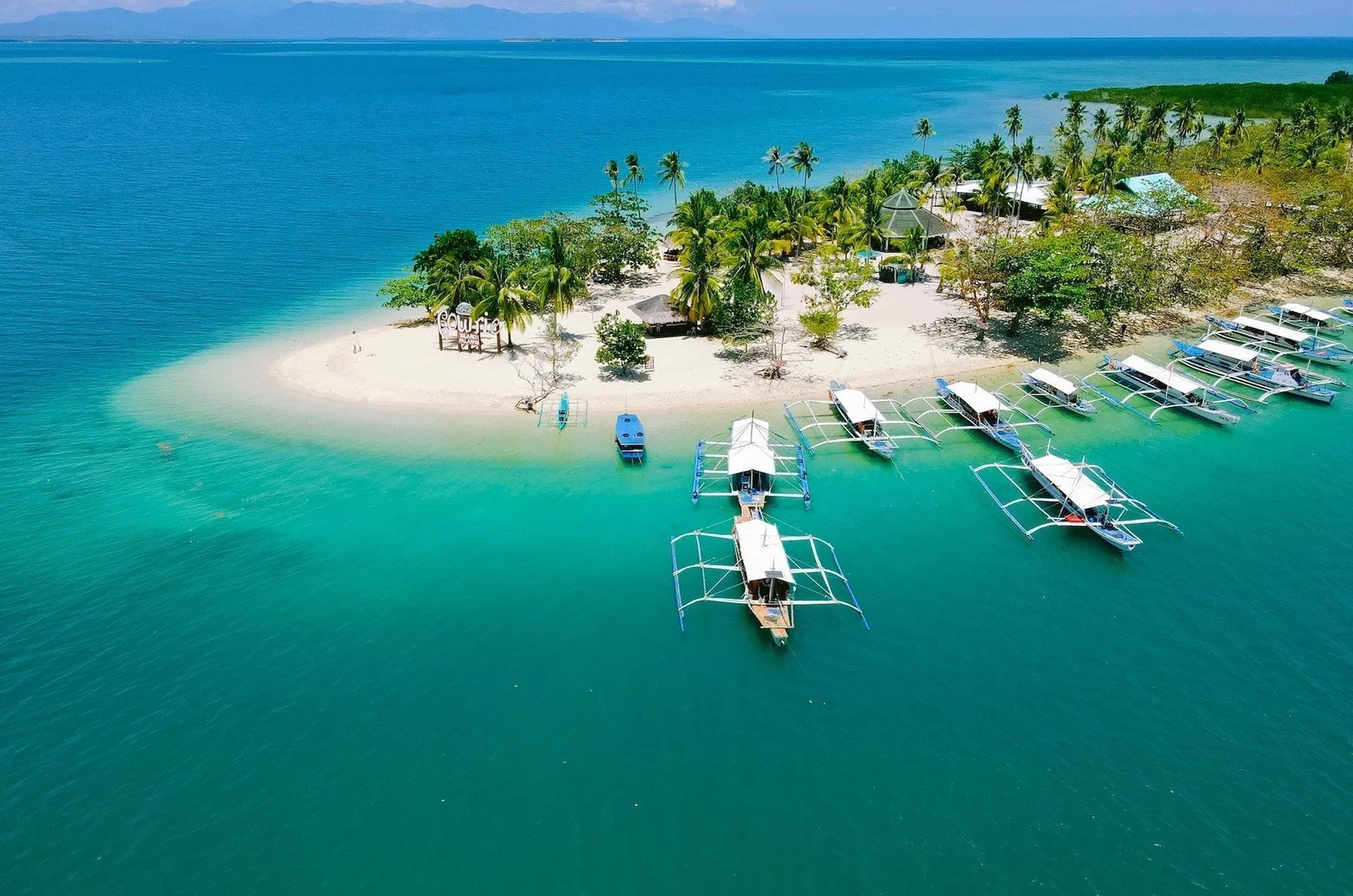 8 Days Philippines Community Trip - Best of Palawan, Cebu, and Moalboal!